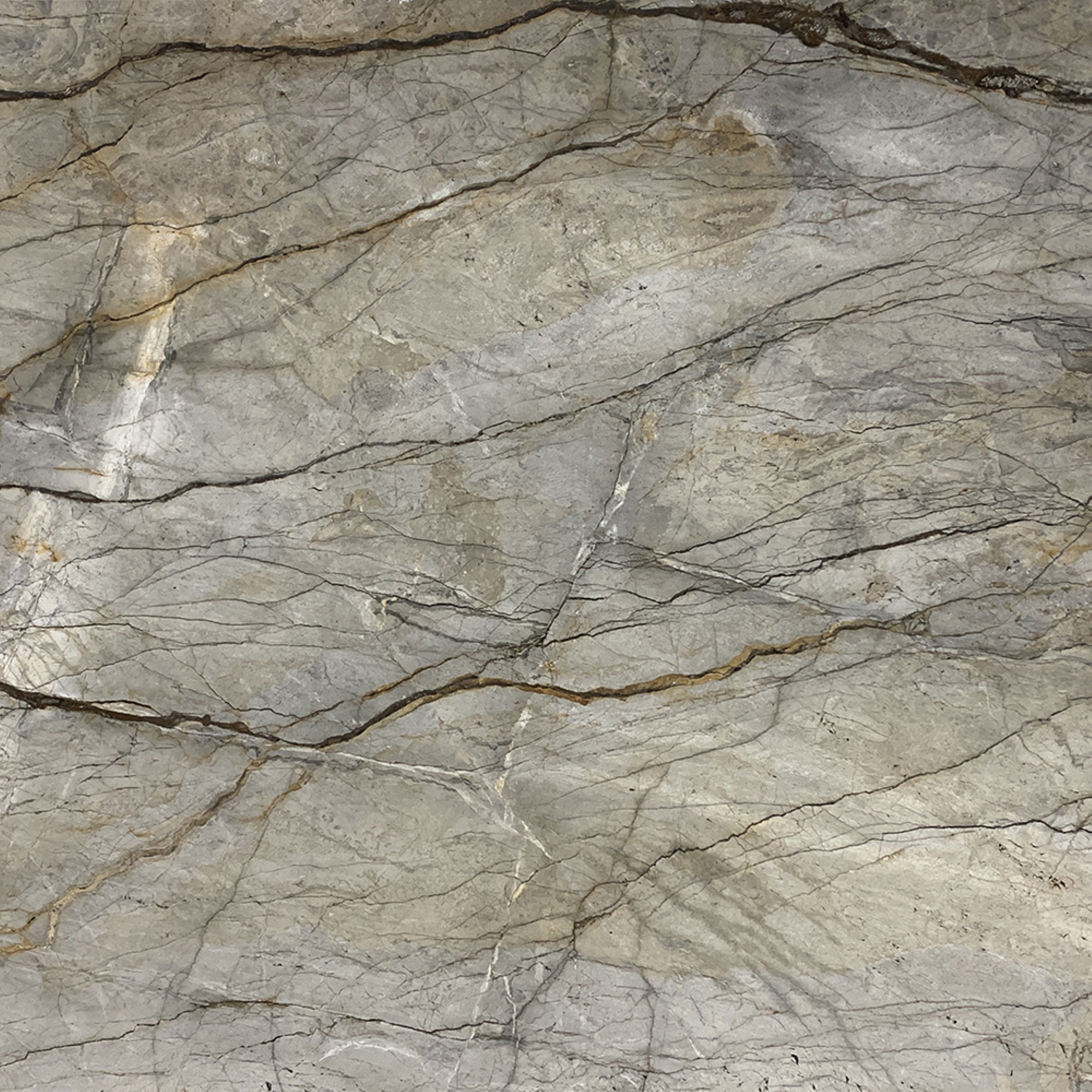 Silver Roots Slab Slabs | Natural Stone | GENROSE Stone & Tile, CT, MA ...